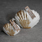 Bougie Coquillage